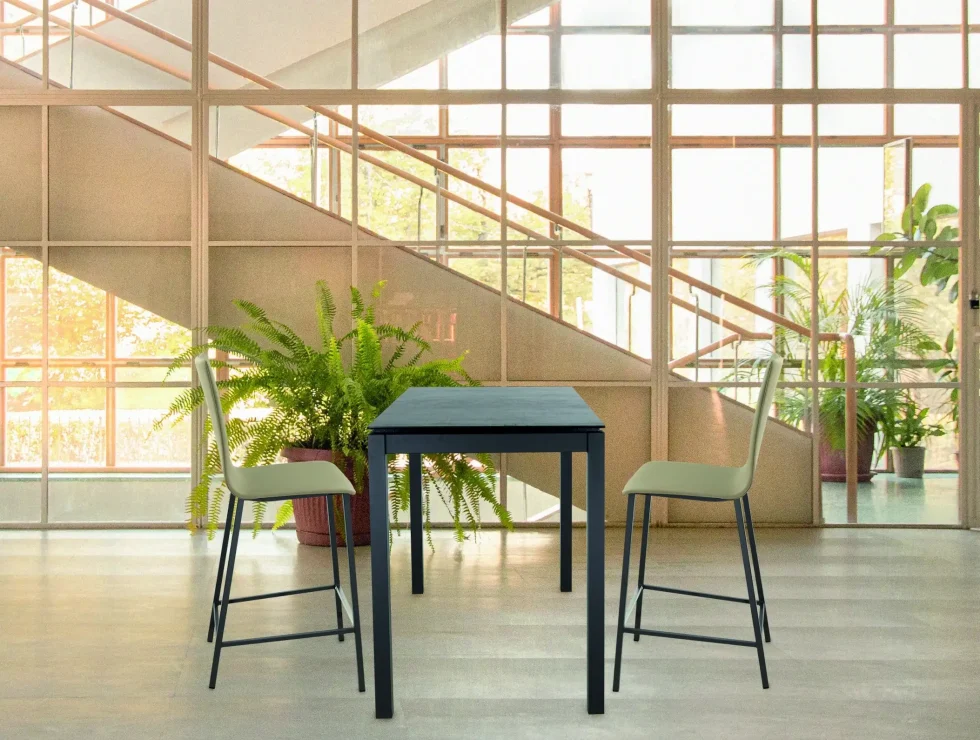 Mesa Ara